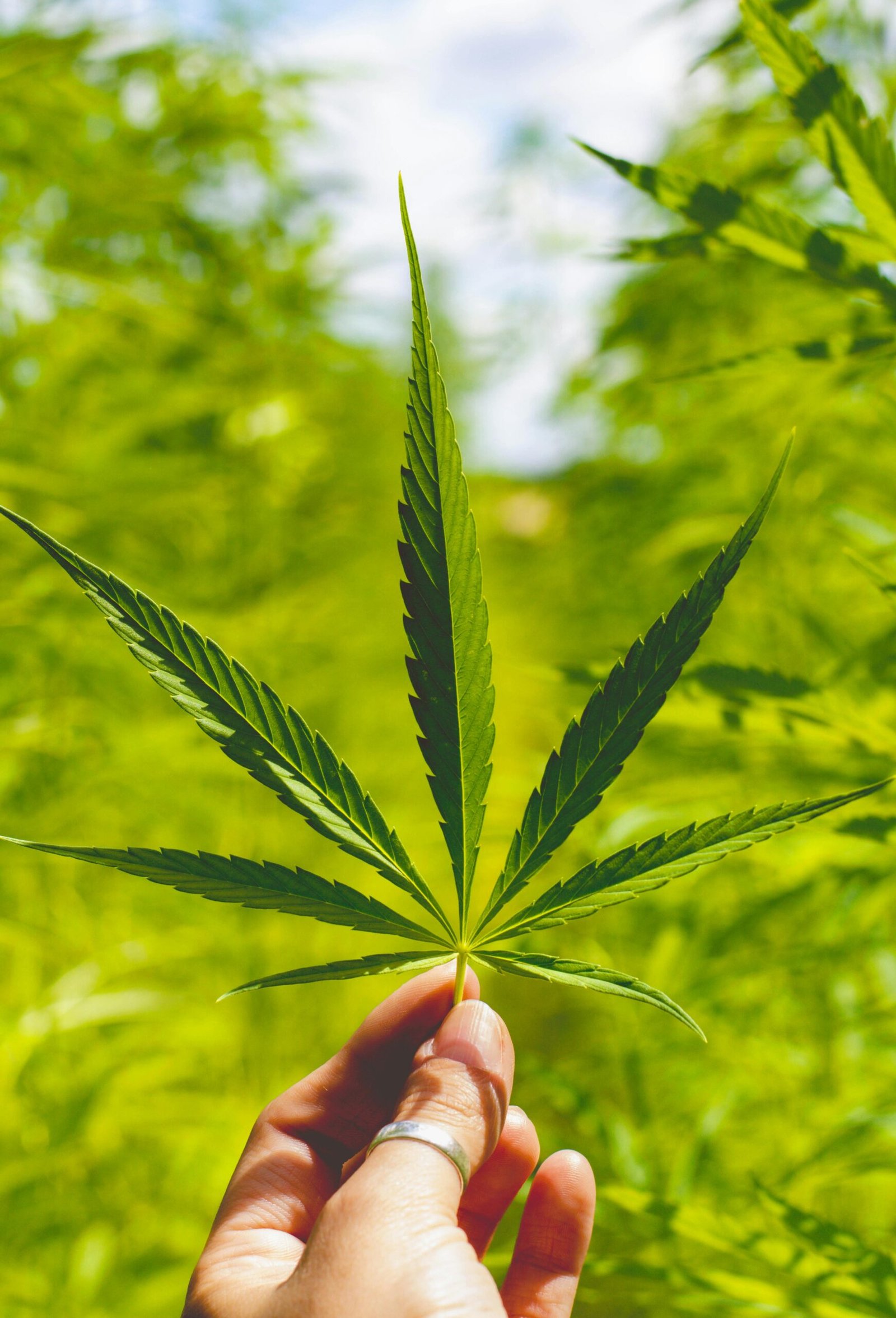 Екологічність